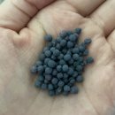 자연 이(e) 래 | 급성 신우신염 증상/원인으로 입원했던 후기 [신장에 좋은 음식 추천]