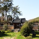 백호서당 Daum카페