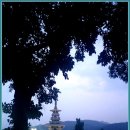 경주산책 이미지