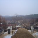 권희묘 Daum카페