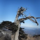 도립공원 太白山 이미지