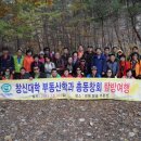 창신대학 이미지