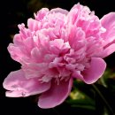 풍수지리 이미지