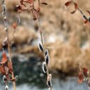 어진동_호수공원수변공원 이미지