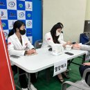 양지체육관 이미지