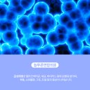 늘푸른우리내과의원 이미지