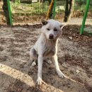 광주TNR동물병원(송정) 이미지