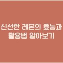 신선한 이미지