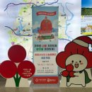 합천군청 이미지