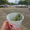 상록수태권도 | 안산 나라꽃 무궁화 축제 후기 경기도 안산 11경 무궁화동산