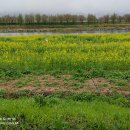 오수천1 이미지