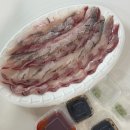 조은상회 | 부산 광안리 회센터 “조은상회” 회 포장 후기