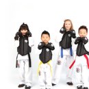 건강한태권도교육관 이미지