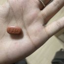 영흥약국 이미지