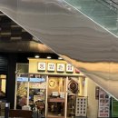 합천군청(제2청사) | [과천] 정부청사 점심 찐맛집, 동양솥밥 내돈내산 후기