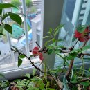 남순천의원 이미지