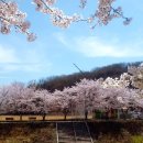 탄동천-1(유성-80) 이미지