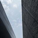 나라평화사진관 | 중국 난징 대학살 희생자 기념관 후기
