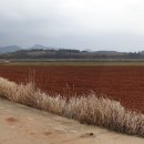 산이면사무소 이미지
