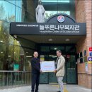 늘 푸른 나무 이미지