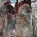 옹기종기 이미지