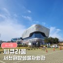 구난이 약나무 마을 | 씨큐리움 | 서천 가볼만한곳 국립해양생물자원관 바다마을 고래고래 아이랑 해양박물관 후기