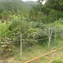 미란츠 펜션 이미지