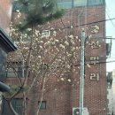 오성씨앤에스