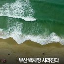 백사장 이미지