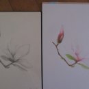 연필ㆍ색연필화 이미지