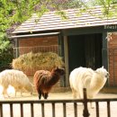 식물원 옆 동물원 이미지