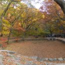 @ 북악산 북쪽 자락에 숨겨진 상큼한 별천지 ~ 부암동 백석동천, 백사실계곡, 능금마을 늦가을 나들이 이미지