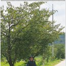 서해랑길 74코스 이미지