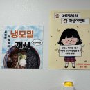 남성여자고등학교 | 부산 중앙동 메리놀맛집 남포동 호르몬동 가성비 밥집 마루덮밥 후기