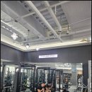 헤일로커피