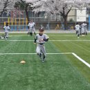 신광초교 이미지