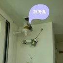 북안가스 이미지
