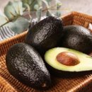 아보카도 이미지