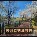 서울더케어복지용구 | 화성 봉담 노인 요양원 봉담효행요양원 맞춤형 케어 서비스로 안정적