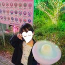 퍼스트가든(솜사탕)