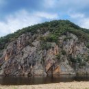 곽다정이네 이미지