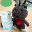 (주)아이스펄 이미지