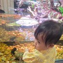 아쿠아수족관 | 의정부 아쿠아랑 수족관 카페후기, 아이랑 가기좋은 실내체험 명소!