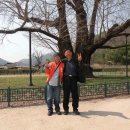 섬진강제첩국 이미지