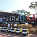 안산서비스 이미지