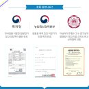어헤드(AHEAD)