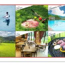 양덕원우체국 이미지