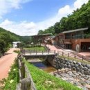 자연의 품 이미지