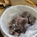 을찌로국물떡볶이 네이버블로그