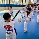 경희대금호태권도장 이미지